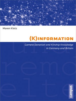 cover image of (K)information